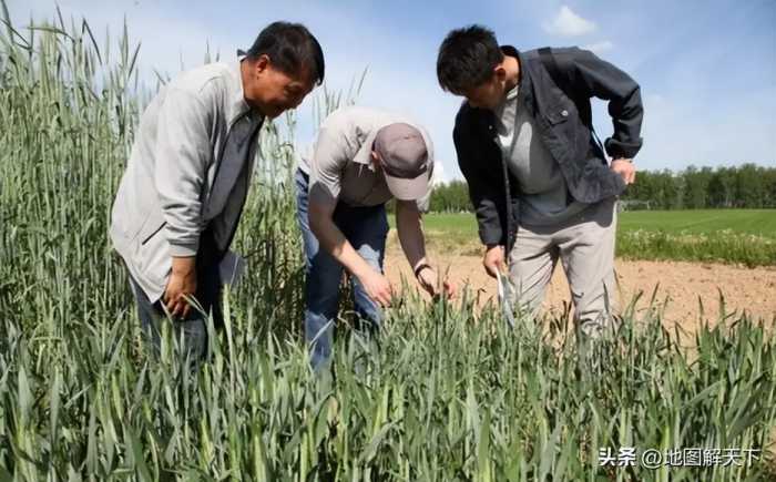 比巴铁都还要铁！整条生产线搬至中国，核心技术也倾囊相授